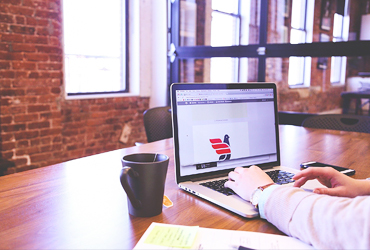 Web Design and Development